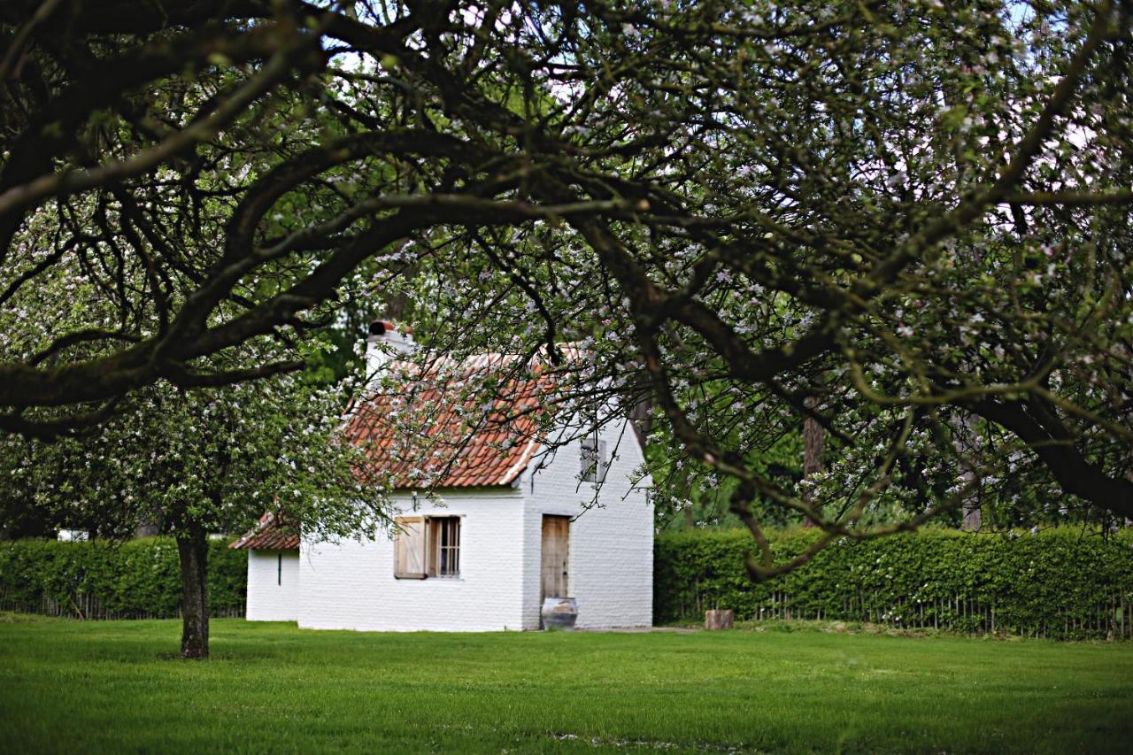 Hof Van Lier Bed and Breakfast Geraardsbergen Exterior foto